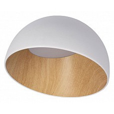 Накладной светильник loft it egg 10...